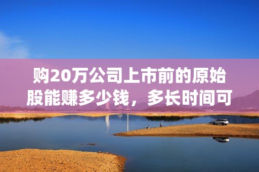 购20万公司上市前的原始股能赚多少钱，多长时间可以套现？(一个市值20亿的公司上市后多少钱)
