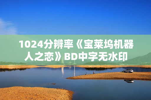 1024分辨率《宝莱坞机器人之恋》BD中字无水印