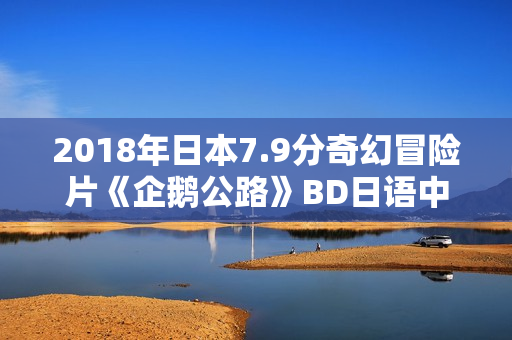 2018年日本7.9分奇幻冒险片《企鹅公路》BD日语中字