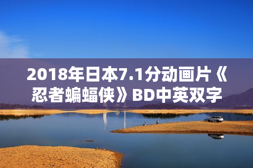 2018年日本7.1分动画片《忍者蝙蝠侠》BD中英双字
