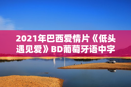 2021年巴西爱情片《低头遇见爱》BD葡萄牙语中字
