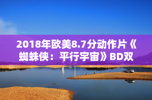 2018年欧美8.7分动作片《蜘蛛侠：平行宇宙》BD双语双字