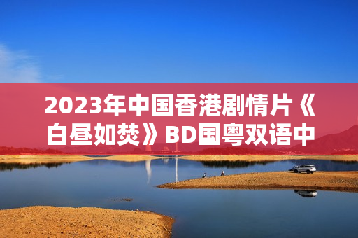 2023年中国香港剧情片《白昼如焚》BD国粤双语中字