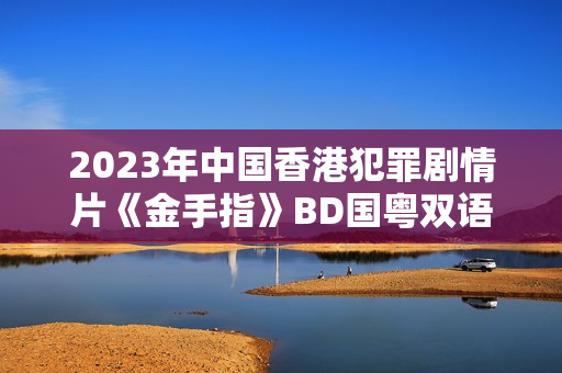 2023年中国香港犯罪剧情片《金手指》BD国粤双语中字