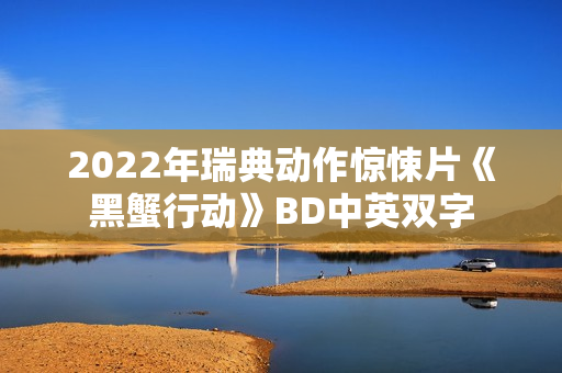 2022年瑞典动作惊悚片《黑蟹行动》BD中英双字