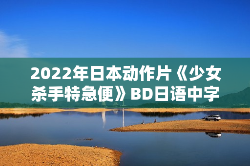2022年日本动作片《少女杀手特急便》BD日语中字