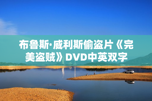 布鲁斯·威利斯偷盗片《完美盗贼》DVD中英双字