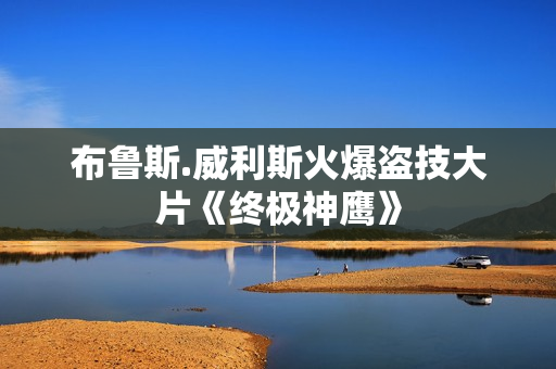 布鲁斯.威利斯火爆盗技大片《终极神鹰》
