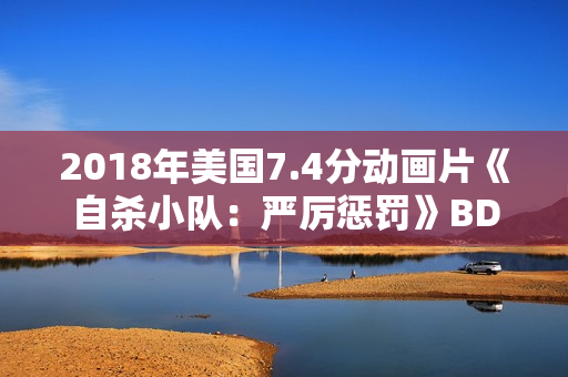 2018年美国7.4分动画片《自杀小队：严厉惩罚》BD中字