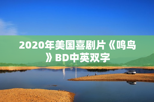 2020年美国喜剧片《鸣鸟》BD中英双字