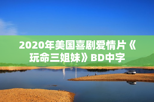 2020年美国喜剧爱情片《玩命三姐妹》BD中字