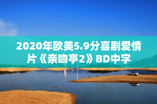2020年欧美5.9分喜剧爱情片《亲吻亭2》BD中字