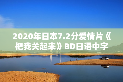 2020年日本7.2分爱情片《把我关起来》BD日语中字
