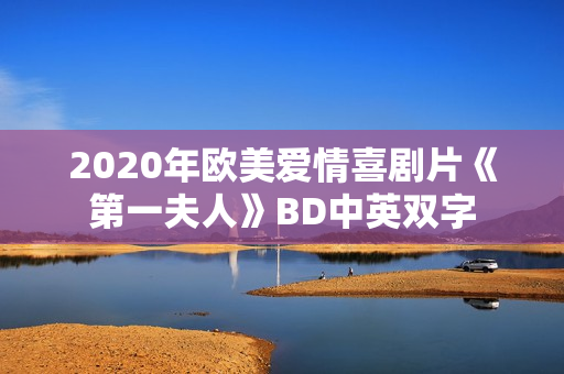 2020年欧美爱情喜剧片《第一夫人》BD中英双字