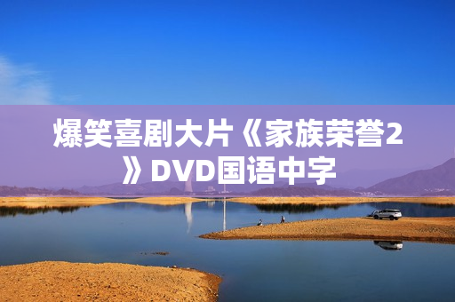 爆笑喜剧大片《家族荣誉2》DVD国语中字