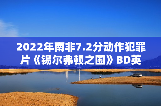 2022年南非7.2分动作犯罪片《锡尔弗顿之围》BD英语中字