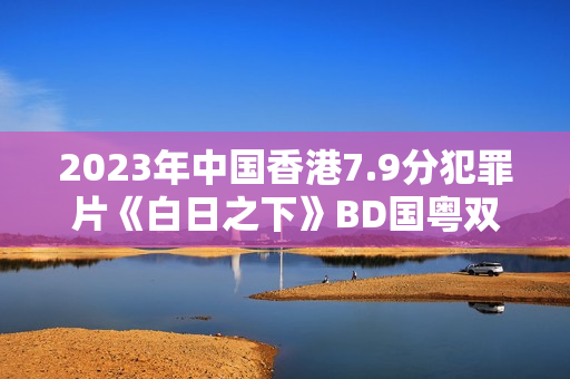 2023年中国香港7.9分犯罪片《白日之下》BD国粤双语中字