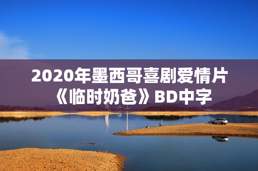 2020年墨西哥喜剧爱情片《临时奶爸》BD中字