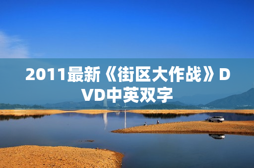2011最新《街区大作战》DVD中英双字