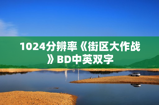 1024分辨率《街区大作战》BD中英双字
