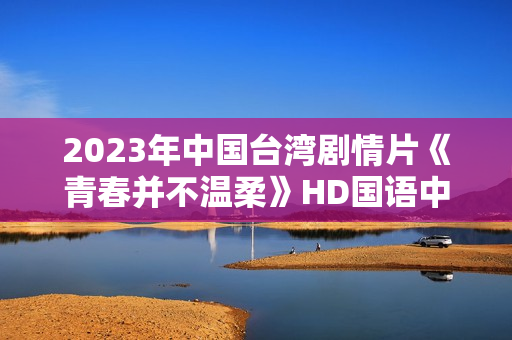 2023年中国台湾剧情片《青春并不温柔》HD国语中字
