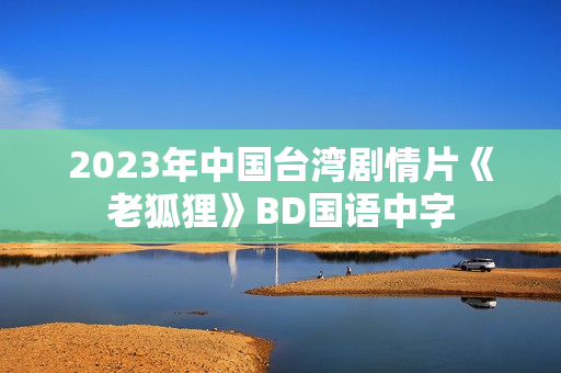 2023年中国台湾剧情片《老狐狸》BD国语中字