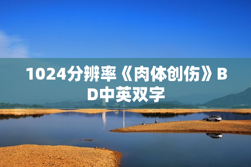 1024分辨率《肉体创伤》BD中英双字