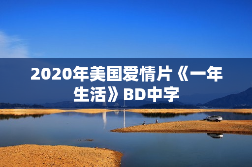 2020年美国爱情片《一年生活》BD中字
