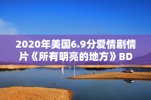 2020年美国6.9分爱情剧情片《所有明亮的地方》BD中字