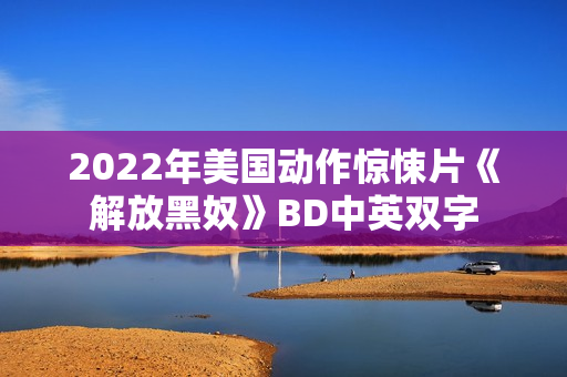 2022年美国动作惊悚片《解放黑奴》BD中英双字