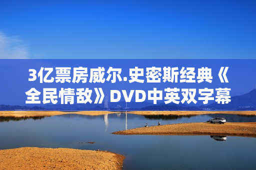 3亿票房威尔.史密斯经典《全民情敌》DVD中英双字幕