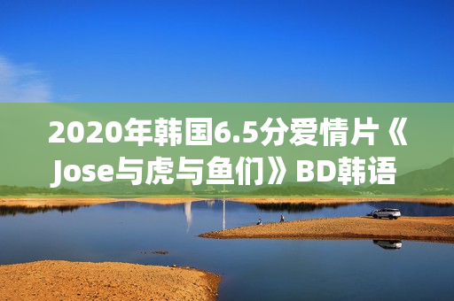 2020年韩国6.5分爱情片《Jose与虎与鱼们》BD韩语中字