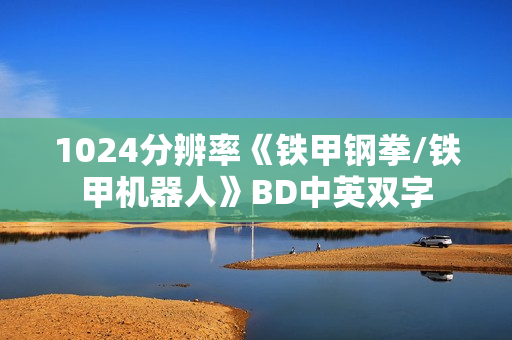1024分辨率《铁甲钢拳/铁甲机器人》BD中英双字