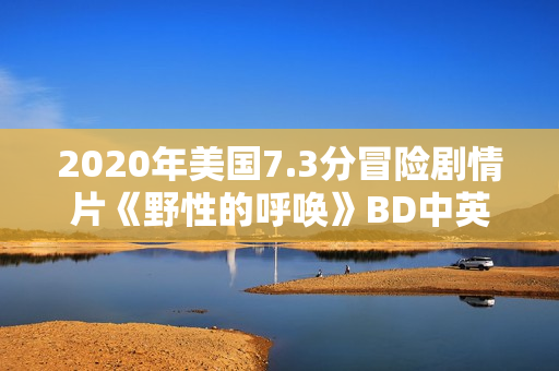 2020年美国7.3分冒险剧情片《野性的呼唤》BD中英双字