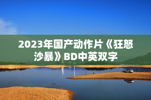 2023年国产动作片《狂怒沙暴》BD中英双字
