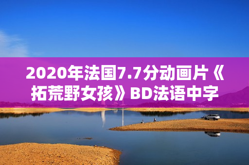 2020年法国7.7分动画片《拓荒野女孩》BD法语中字