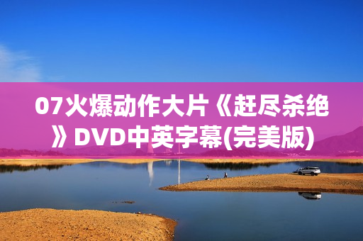07火爆动作大片《赶尽杀绝》DVD中英字幕(完美版)