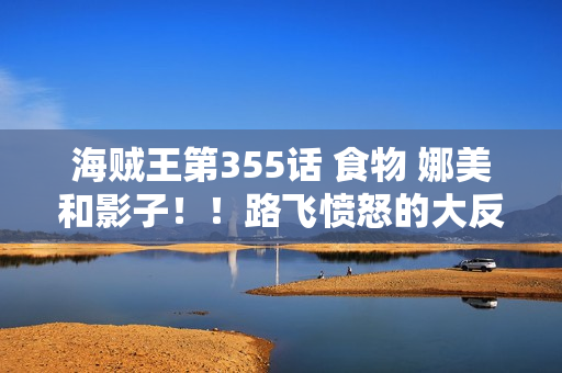 海贼王第355话 食物 娜美和影子！！路飞愤怒的大反击