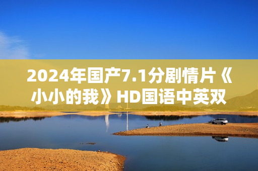2024年国产7.1分剧情片《小小的我》HD国语中英双字