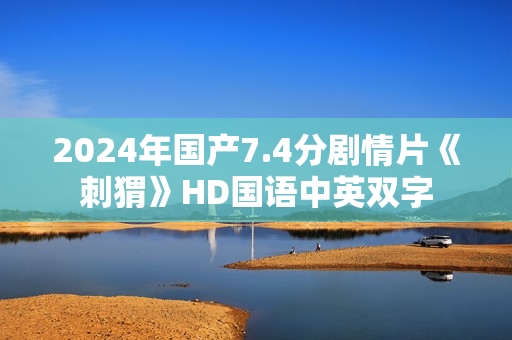 2024年国产7.4分剧情片《刺猬》HD国语中英双字