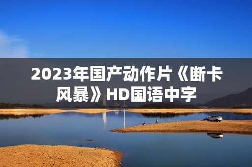 2023年国产动作片《断卡风暴》HD国语中字