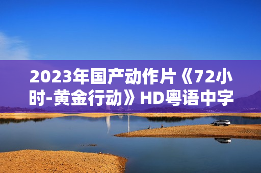 2023年国产动作片《72小时-黄金行动》HD粤语中字
