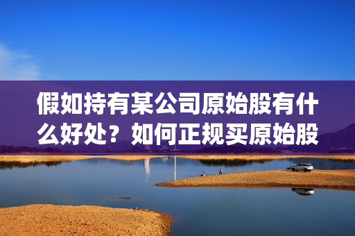 假如持有某公司原始股有什么好处？如何正规买原始股(假如某人持有a公司股票100股)