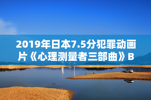 2019年日本7.5分犯罪动画片《心理测量者三部曲》BD日粤双语中字