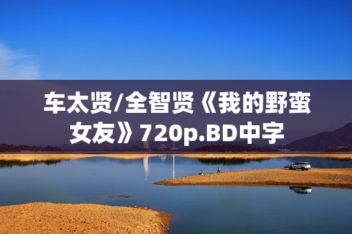 车太贤/全智贤《我的野蛮女友》720p.BD中字