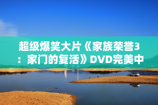 超级爆笑大片《家族荣誉3：家门的复活》DVD完美中字