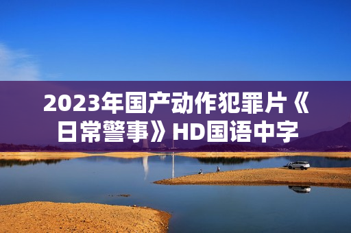 2023年国产动作犯罪片《日常警事》HD国语中字