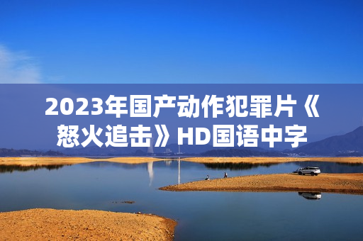 2023年国产动作犯罪片《怒火追击》HD国语中字