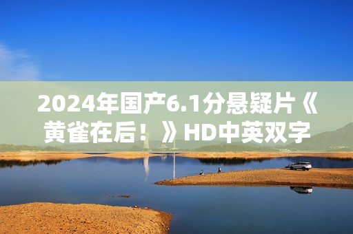 2024年国产6.1分悬疑片《黄雀在后！》HD中英双字