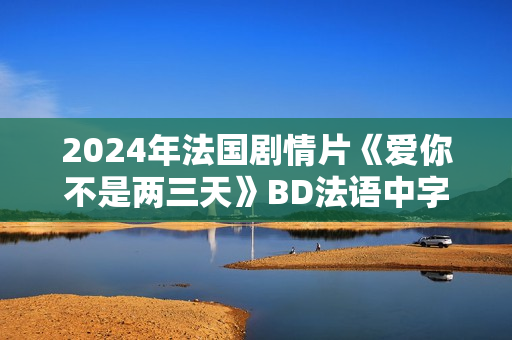2024年法国剧情片《爱你不是两三天》BD法语中字